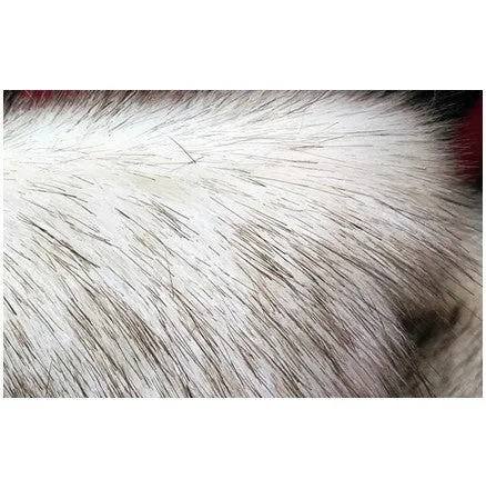 Faux fur fabric for fox-like products