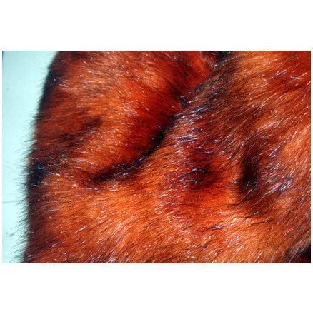 Faux fur fabric for fox-like products