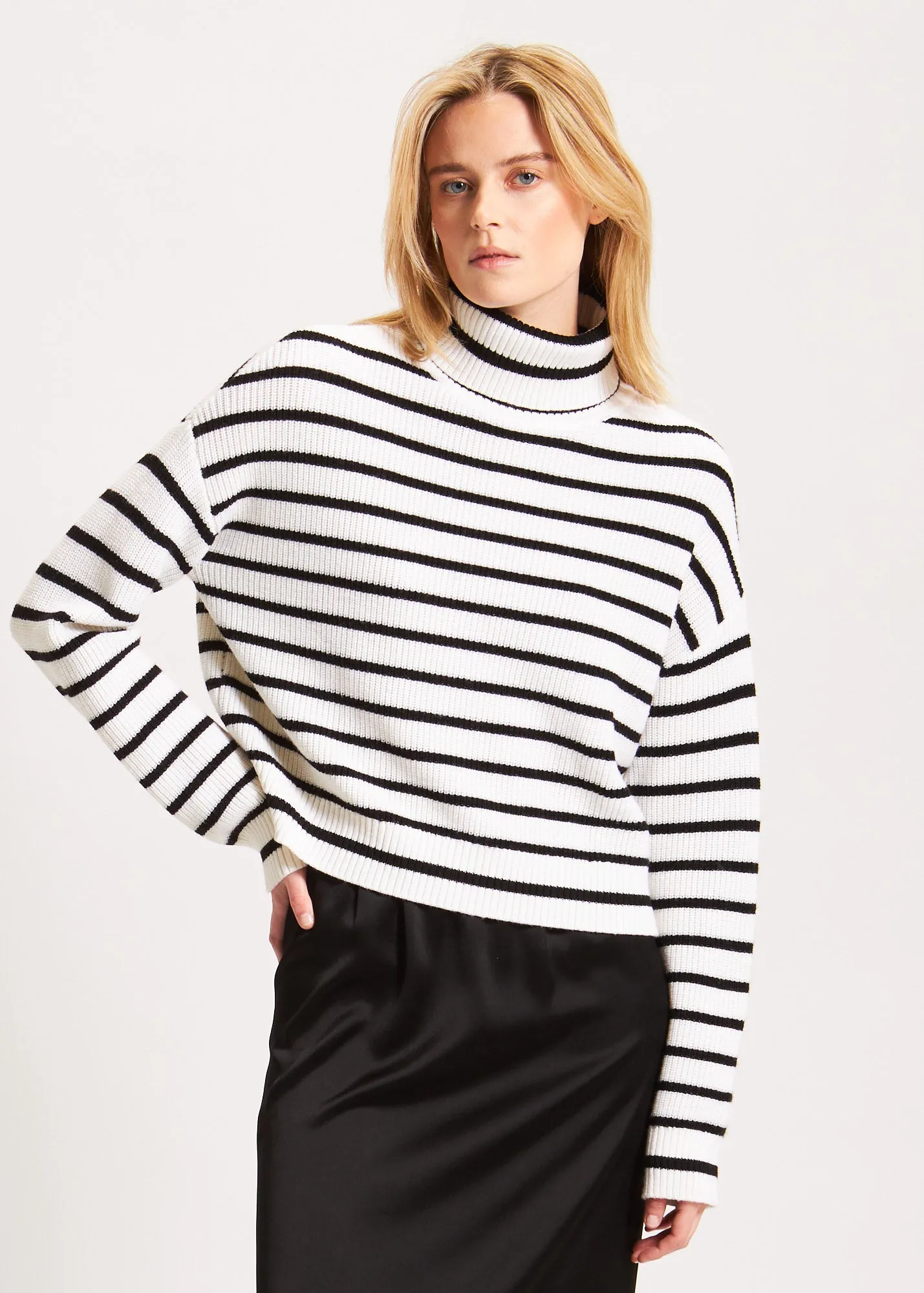 Stripe pattern turtleneck shirt.