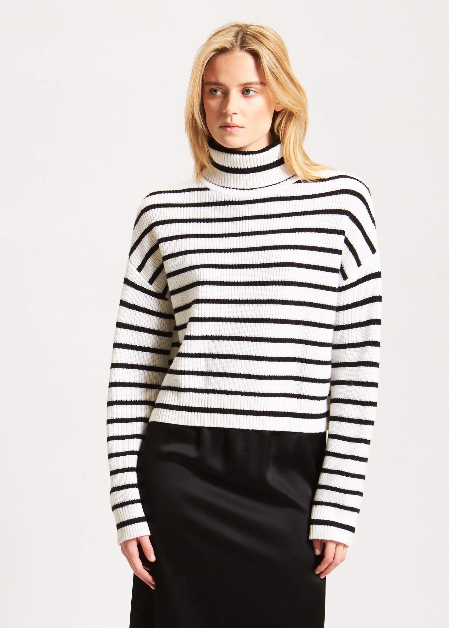 Stripe pattern turtleneck shirt.