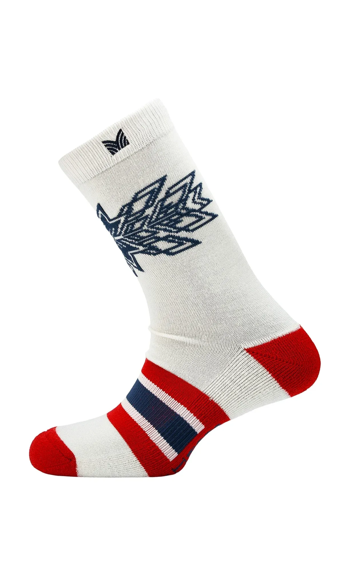 Team Spirit Socks