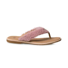 UGG Pink Dawn Women's Flip Flops Alicia